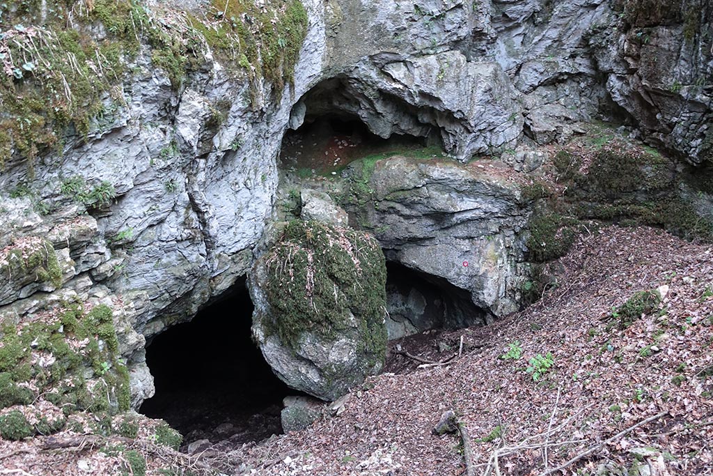 3 giugno: Le grotte, Carsiana e i suoi dintorni