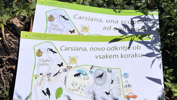 La cartoguida di Carsiana dedicata ai bambini ora anche in sloveno