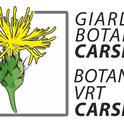 Logo Fb Centaurea